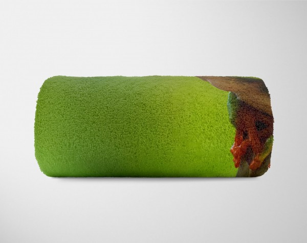 Paul Sinus Art Handtuch Strandhandtuch Saunatuch Kuscheldecke mit Tiermotiv grüner Frosch auf Im Verkauf