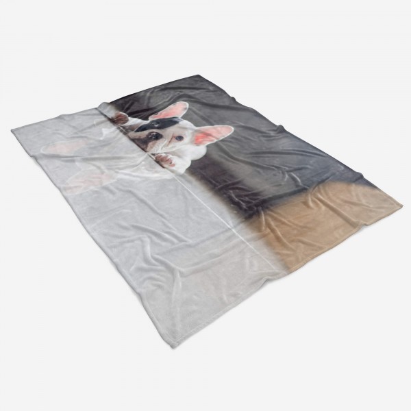 Paul Sinus Art Handtuch Strandhandtuch Saunatuch Kuscheldecke mit Tiermotiv französische Bulld zollfrei
