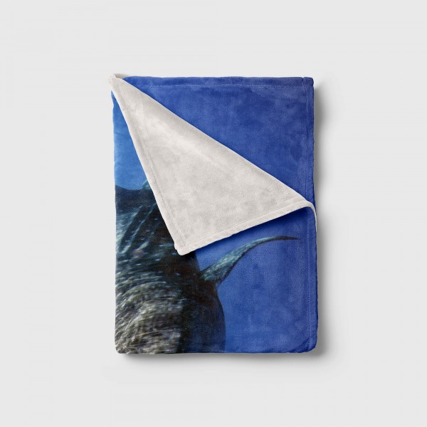 Paul Sinus Art Handtuch Strandhandtuch Saunatuch Kuscheldecke mit Tiermotiv Walhai unter Wasse Rabatte dieses Monats