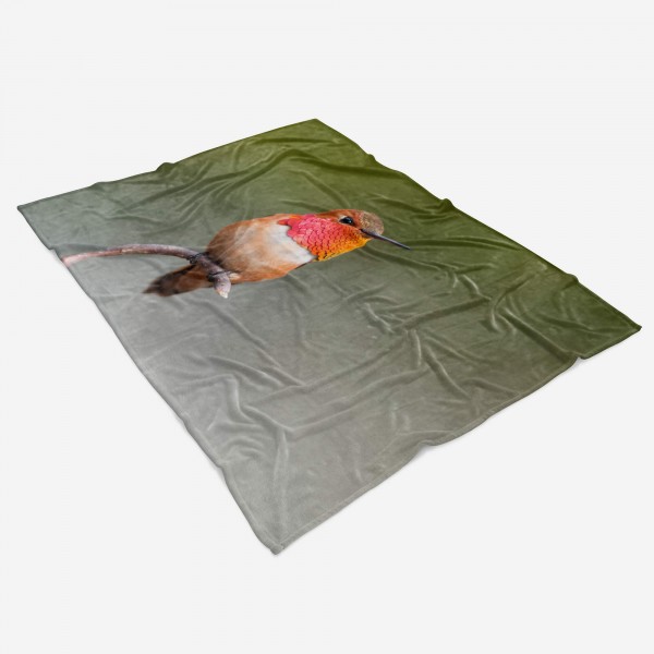 Paul Sinus Art Handtuch Strandhandtuch Saunatuch Kuscheldecke mit Tiermotiv kleiner Kolibri si Angebote