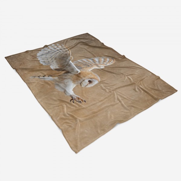 Paul Sinus Art Handtuch Strandhandtuch Saunatuch Kuscheldecke mit Tiermotiv Eule im Landeanflu Günstig kaufen