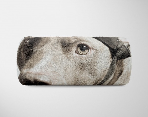 Paul Sinus Art Handtuch Strandhandtuch Saunatuch Kuscheldecke mit Tiermotiv Hund mit Fliegerbr Begrenztes Angebot