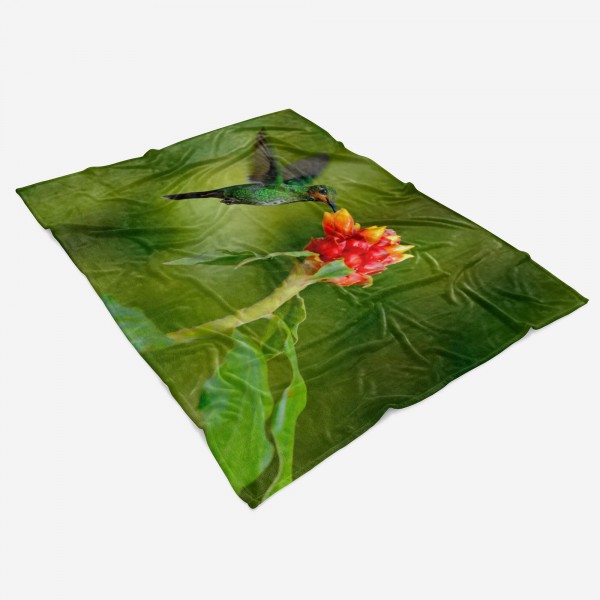 Paul Sinus Art Handtuch Strandhandtuch Saunatuch Kuscheldecke mit Tiermotiv Kolibri Blume Exot Weihnachtsangebot