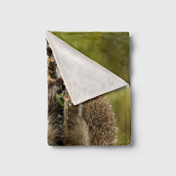 Paul Sinus Art Handtuch Strandhandtuch Saunatuch Kuscheldecke mit Tiermotiv Igel an Wasserstel Osterangebot