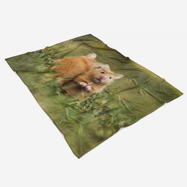 Paul Sinus Art Handtuch Strandhandtuch Saunatuch Kuscheldecke mit Tiermotiv kleine süße Hamste Valentinstagsangebot