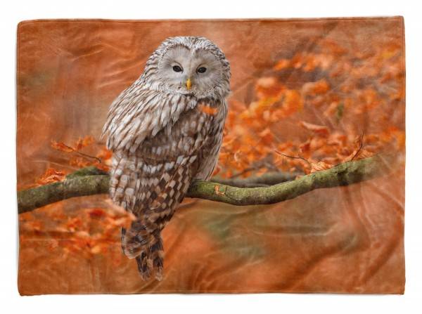 Paul Sinus Art Handtuch Strandhandtuch Saunatuch Kuscheldecke mit Tiermotiv Eule im Wald Herbs