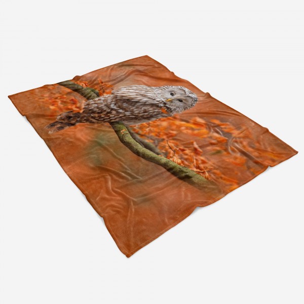 Paul Sinus Art Handtuch Strandhandtuch Saunatuch Kuscheldecke mit Tiermotiv Eule im Wald Herbs Lagerräumung