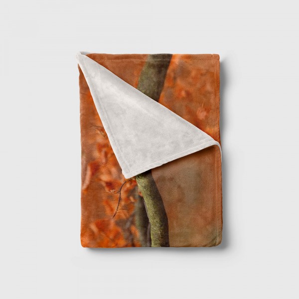 Paul Sinus Art Handtuch Strandhandtuch Saunatuch Kuscheldecke mit Tiermotiv Eule im Wald Herbs Lagerräumung