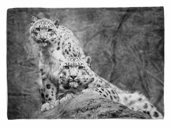 Paul Sinus Art Handtuch Strandhandtuch Saunatuch Kuscheldecke mit Tiermotiv Schneeleoparden Sc