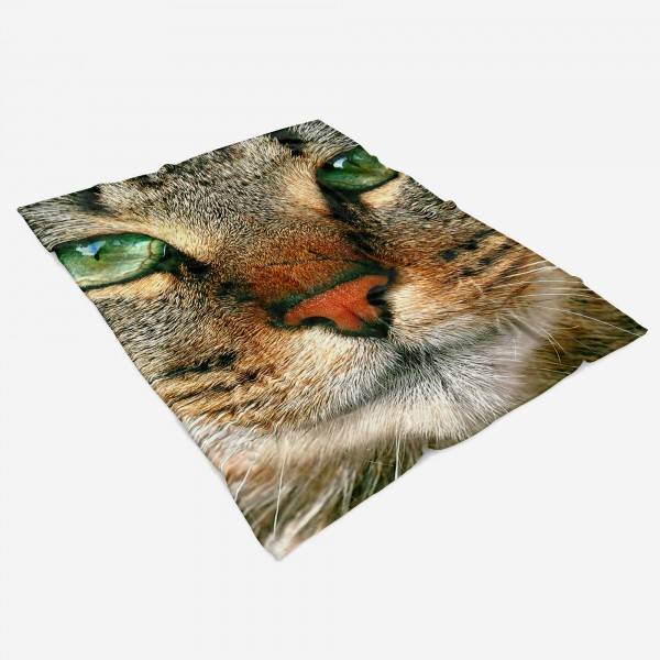 Paul Sinus Art Handtuch Strandhandtuch Saunatuch Kuscheldecke mit Tiermotiv Katze Katzenauge Kauf eins, bekomm eins gratis
