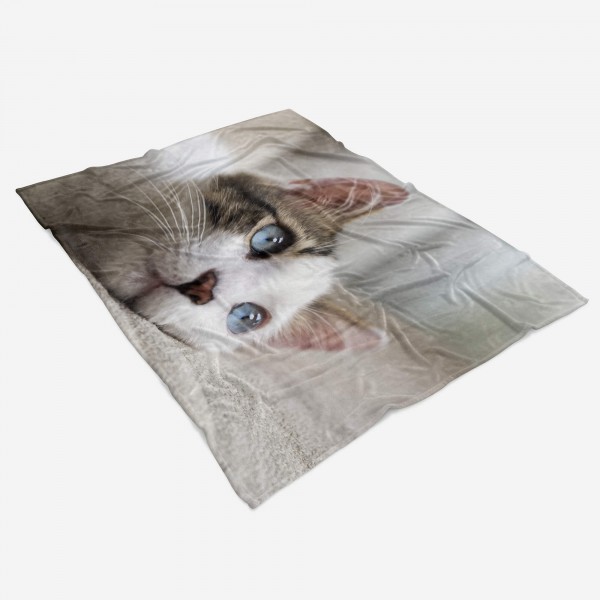 Paul Sinus Art Handtuch Strandhandtuch Saunatuch Kuscheldecke mit Tiermotiv süßes Kätzchen Tägliche Deals