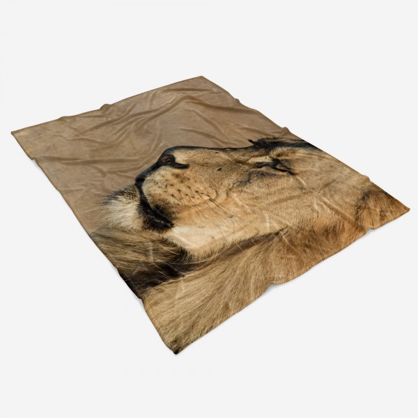 Paul Sinus Art Handtuch Strandhandtuch Saunatuch Kuscheldecke mit Tiermotiv großer Löwe Sonderangebote