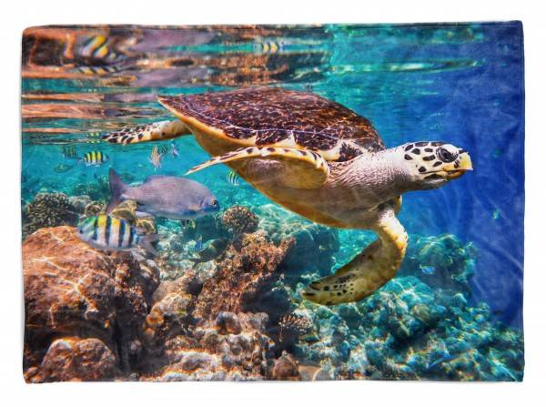 Paul Sinus Art Handtuch Strandhandtuch Saunatuch Kuscheldecke mit Tiermotiv Seeschildkröte Kor