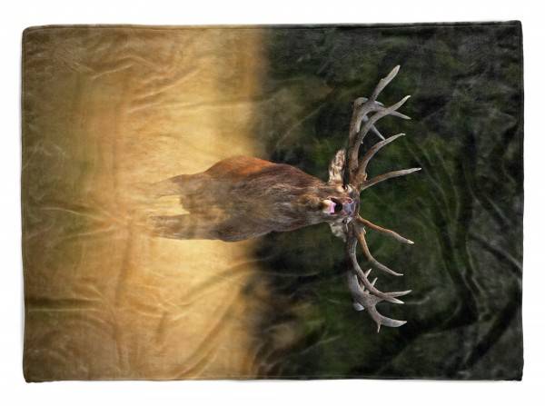 Paul Sinus Art Handtuch Strandhandtuch Saunatuch Kuscheldecke mit Tiermotiv Hirsch Geweih Natu