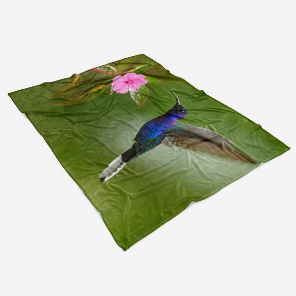 Paul Sinus Art Handtuch Strandhandtuch Saunatuch Kuscheldecke mit Tiermotiv Kolibri Blume Neueste Stile