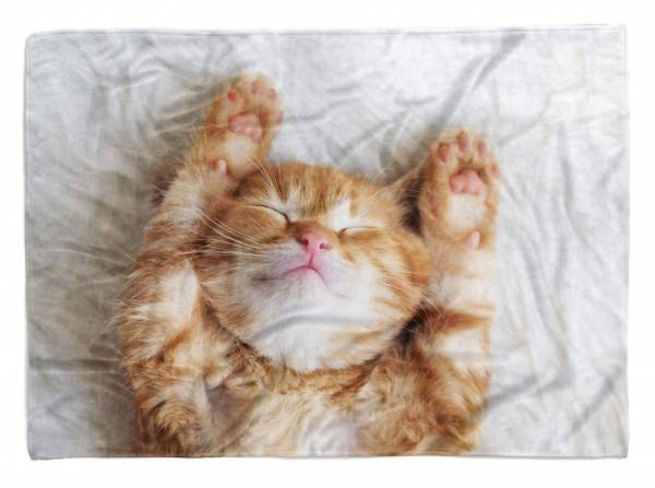 Paul Sinus Art Handtuch Strandhandtuch Saunatuch Kuscheldecke mit Tiermotiv kleine süße Katze