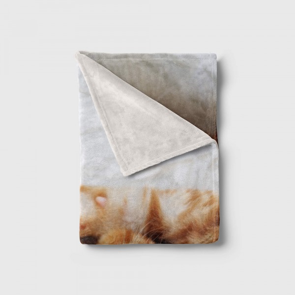Paul Sinus Art Handtuch Strandhandtuch Saunatuch Kuscheldecke mit Tiermotiv kleine süße Katze Letzte 2 Tage