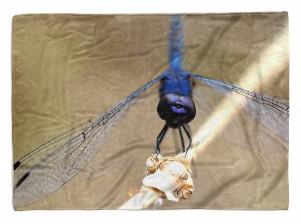 Paul Sinus Art Handtuch Strandhandtuch Saunatuch Kuscheldecke mit Tiermotiv blaue Libelle Naha