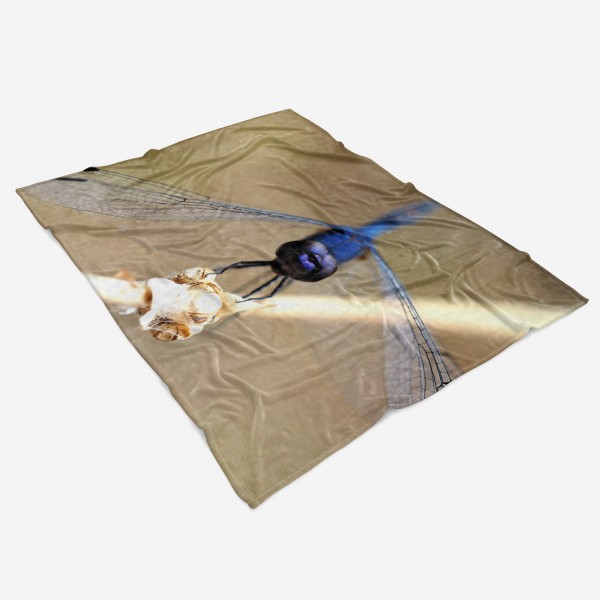 Paul Sinus Art Handtuch Strandhandtuch Saunatuch Kuscheldecke mit Tiermotiv blaue Libelle Naha Letzter Tag