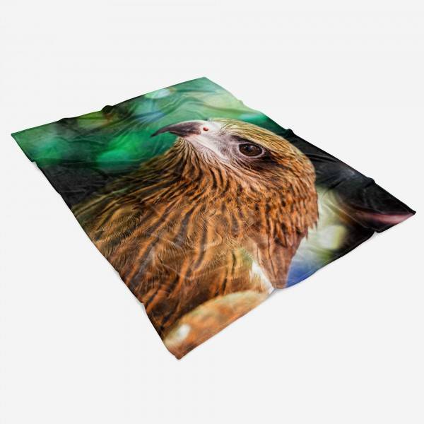 Paul Sinus Art Handtuch Strandhandtuch Saunatuch Kuscheldecke mit Tiermotiv Falke Raubvogel Bis zu 50% Rabatt