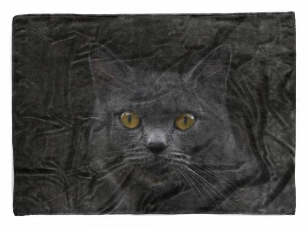 Paul Sinus Art Handtuch Strandhandtuch Saunatuch Kuscheldecke mit Tiermotiv Schwarze Katze