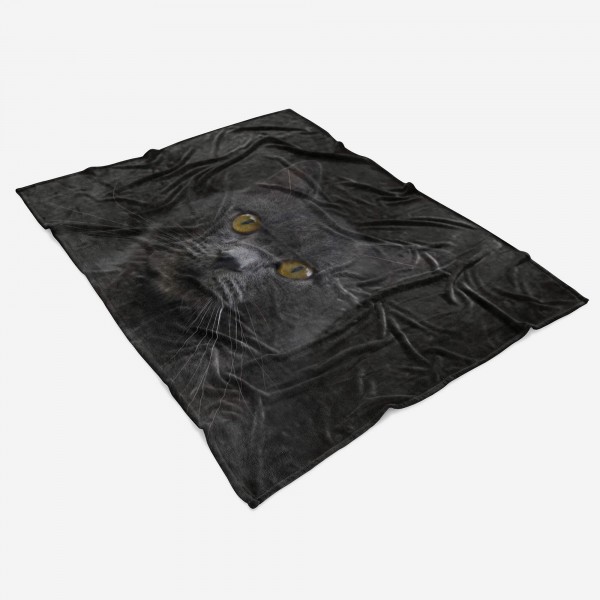 Paul Sinus Art Handtuch Strandhandtuch Saunatuch Kuscheldecke mit Tiermotiv Schwarze Katze Bis zu 60% Rabatt
