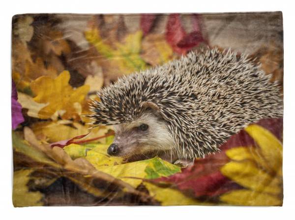 Paul Sinus Art Handtuch Strandhandtuch Saunatuch Kuscheldecke mit Tiermotiv Igel Herbstblätter