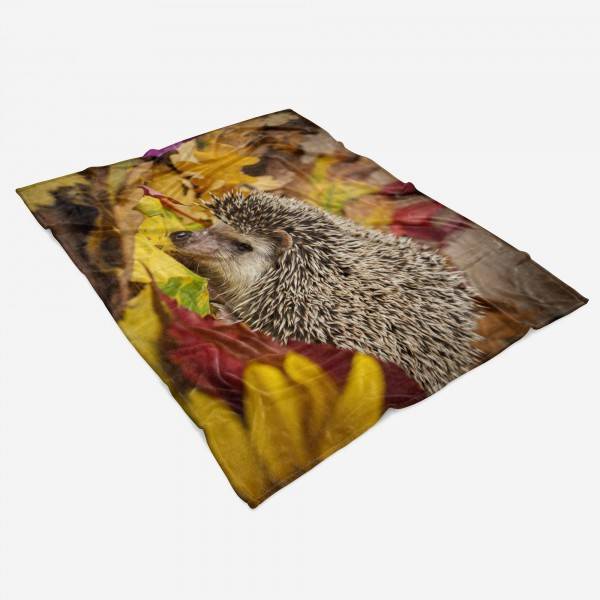 Paul Sinus Art Handtuch Strandhandtuch Saunatuch Kuscheldecke mit Tiermotiv Igel Herbstblätter Nur für heute