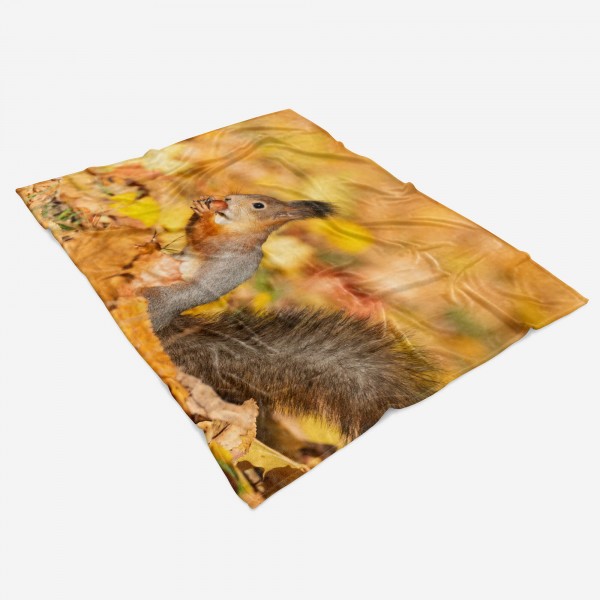 Paul Sinus Art Handtuch Strandhandtuch Saunatuch Kuscheldecke mit Tiermotiv Eichhörnchen Herbs Sonderangebot der Fabrik