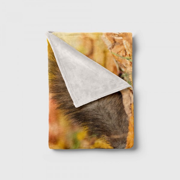 Paul Sinus Art Handtuch Strandhandtuch Saunatuch Kuscheldecke mit Tiermotiv Eichhörnchen Herbs Sonderangebot der Fabrik