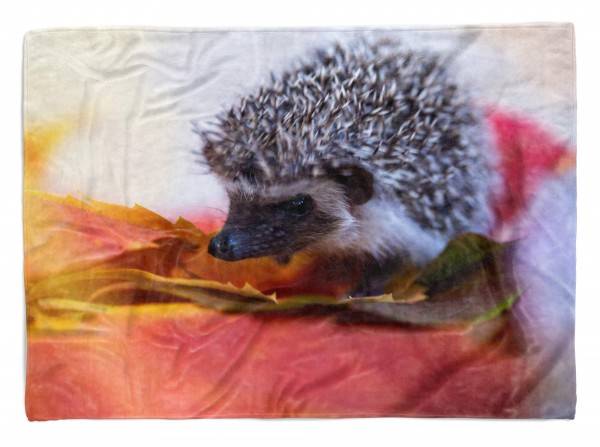 Paul Sinus Art Handtuch Strandhandtuch Saunatuch Kuscheldecke mit Tiermotiv keiner süßer Igel