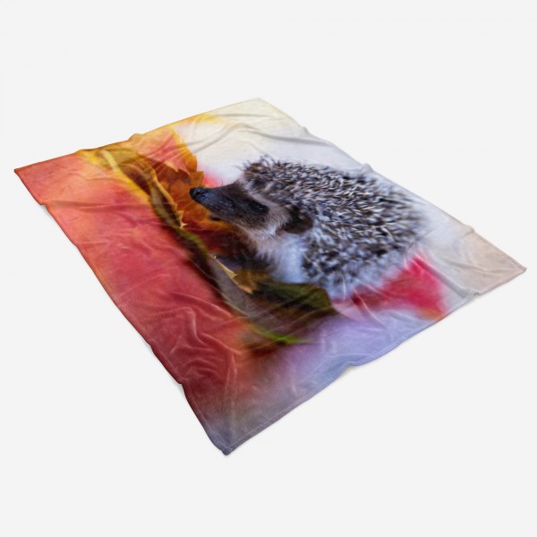 Paul Sinus Art Handtuch Strandhandtuch Saunatuch Kuscheldecke mit Tiermotiv keiner süßer Igel Vierteljährliche Förderung