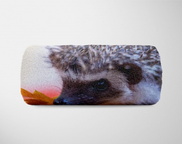 Paul Sinus Art Handtuch Strandhandtuch Saunatuch Kuscheldecke mit Tiermotiv keiner süßer Igel Vierteljährliche Förderung
