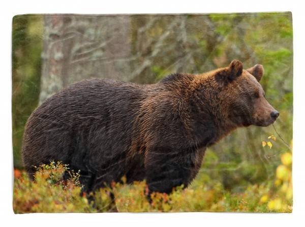 Paul Sinus Art Handtuch Strandhandtuch Saunatuch Kuscheldecke mit Tiermotiv Bär Wald Natur