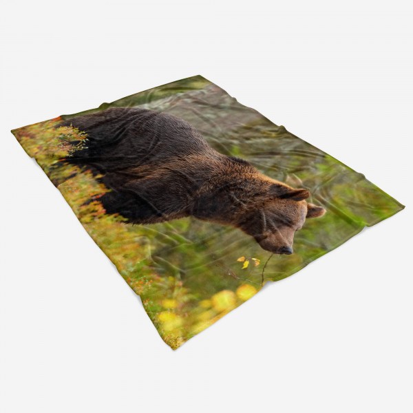 Paul Sinus Art Handtuch Strandhandtuch Saunatuch Kuscheldecke mit Tiermotiv Bär Wald Natur Bis zu 55% Rabatt