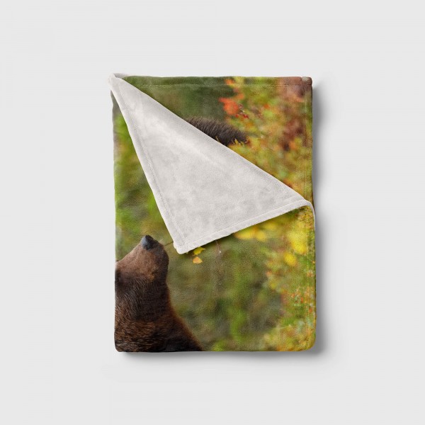 Paul Sinus Art Handtuch Strandhandtuch Saunatuch Kuscheldecke mit Tiermotiv Bär Wald Natur Bis zu 55% Rabatt