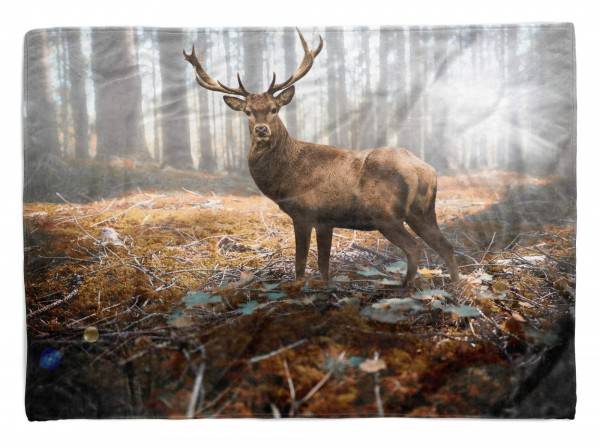 Paul Sinus Art Handtuch Strandhandtuch Saunatuch Kuscheldecke mit Tiermotiv Hirsch Wald Sonnen