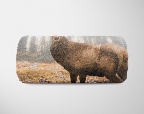 Paul Sinus Art Handtuch Strandhandtuch Saunatuch Kuscheldecke mit Tiermotiv Hirsch Wald Sonnen Nur noch ein Tag übrig