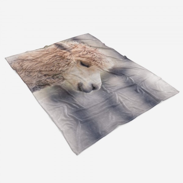 Paul Sinus Art Handtuch Strandhandtuch Saunatuch Kuscheldecke mit Tiermotiv Lama flauschig Clearance-Verkauf