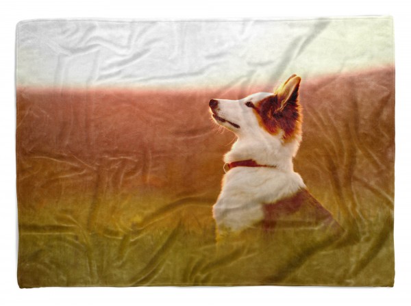 Paul Sinus Art Handtuch Strandhandtuch Saunatuch Kuscheldecke mit Tiermotiv Kleiner Hund
