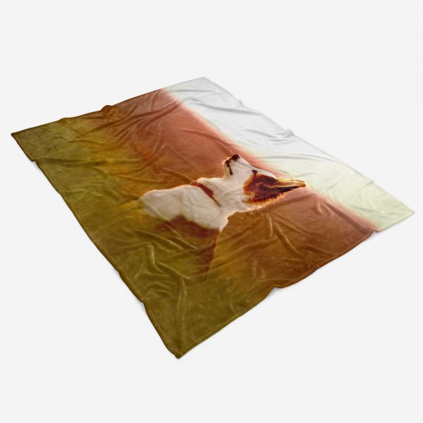 Paul Sinus Art Handtuch Strandhandtuch Saunatuch Kuscheldecke mit Tiermotiv Kleiner Hund Kostenloser Versand international