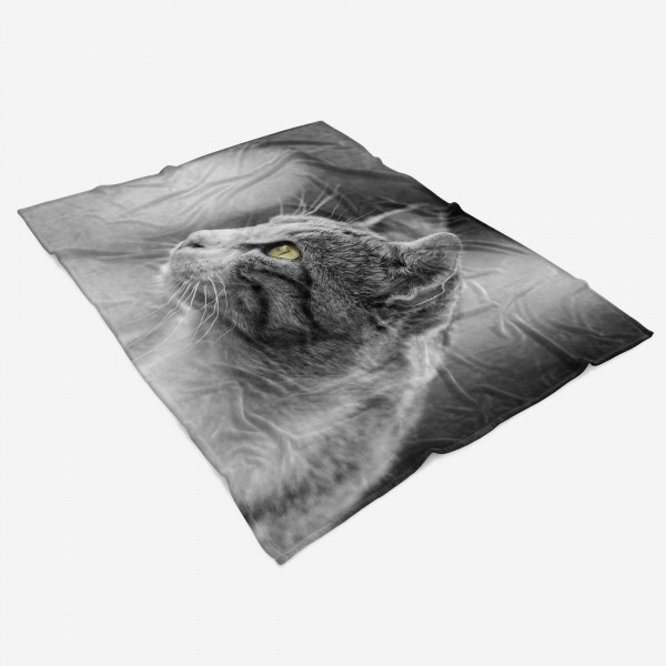Paul Sinus Art Handtuch Strandhandtuch Saunatuch Kuscheldecke mit Tiermotiv Katze Katzenaugen Begrenzt auf 3 Tage