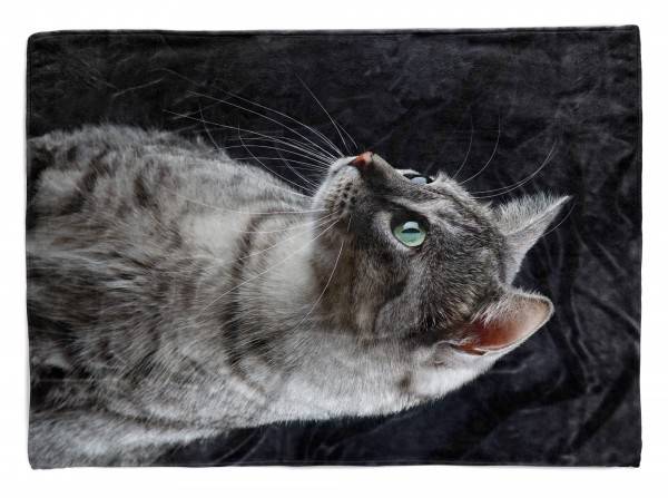 Paul Sinus Art Handtuch Strandhandtuch Saunatuch Kuscheldecke mit Tiermotiv kleine Katze Kätzc