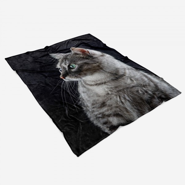 Paul Sinus Art Handtuch Strandhandtuch Saunatuch Kuscheldecke mit Tiermotiv kleine Katze Kätzc zollfrei
