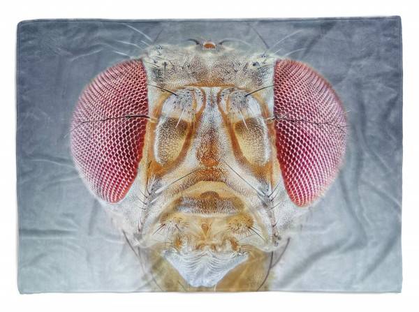 Paul Sinus Art Handtuch Strandhandtuch Saunatuch Kuscheldecke mit Tiermotiv Fliegenaugen Makro