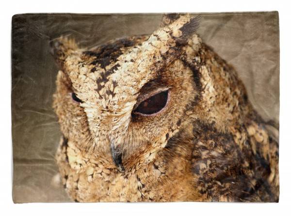 Paul Sinus Art Handtuch Strandhandtuch Saunatuch Kuscheldecke mit Tiermotiv Eule Nahaufnahme