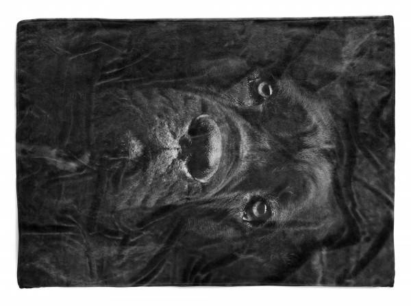 Paul Sinus Art Handtuch Strandhandtuch Saunatuch Kuscheldecke mit Tiermotiv Cane Corso Italian