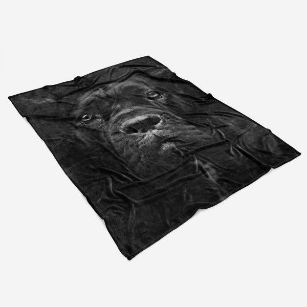 Paul Sinus Art Handtuch Strandhandtuch Saunatuch Kuscheldecke mit Tiermotiv Cane Corso Italian 2025