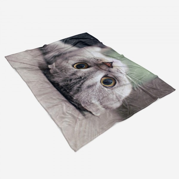 Paul Sinus Art Handtuch Strandhandtuch Saunatuch Kuscheldecke mit Tiermotiv kleines Kätzchen Auslauf