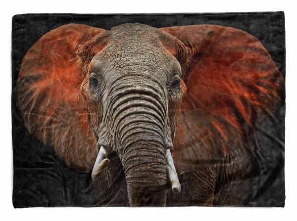 Paul Sinus Art Handtuch Strandhandtuch Saunatuch Kuscheldecke mit Tiermotiv Elefant Stoßzähne